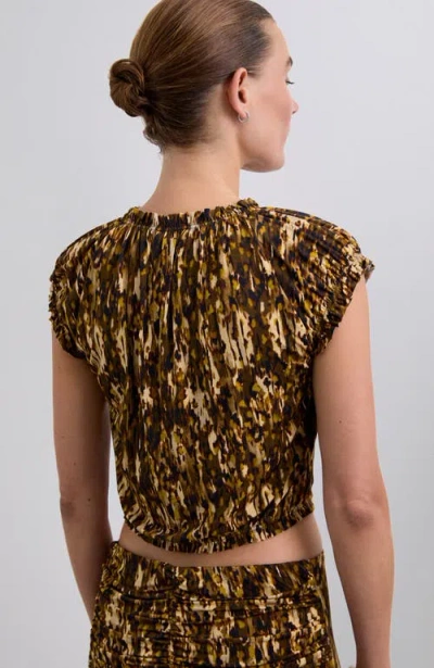 Scalpers Fricafila Top In Multi