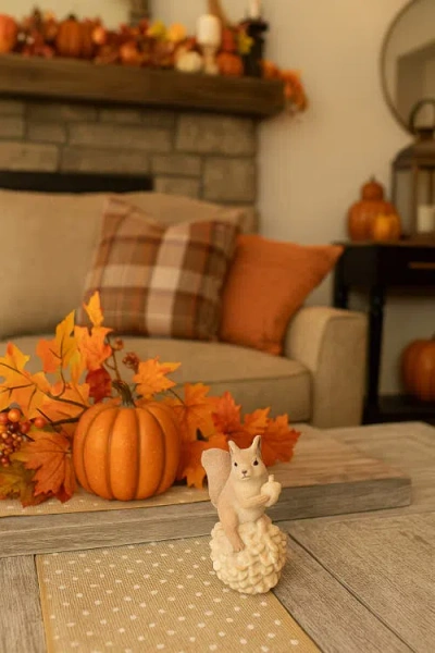 Transpac Resin Multicolor Harvest Squirrel Figurine In White