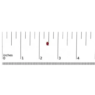 Haus Of Brilliance Colorful Gemstones 14k 0.74 Ct. Tw. Ruby Stud Earrings In Gold