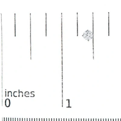 Haus Of Brilliance 14k Gold 1.0 Cttw Lab Grown Diamond Solitaire Stud Earrings In Brown