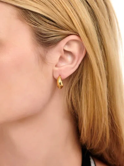 Devata Beveled Curve Hoop Earrings In Brown