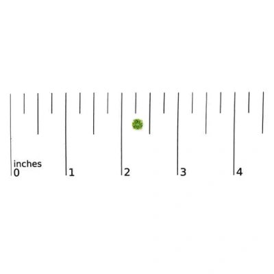 Haus Of Brilliance 14k Gold 5x5mm Round Birthstone Solitaire Stud Earrings In Green