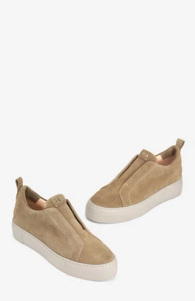 Agl Attilio Giusti Leombruni Agl Clementina Sneaker In Brown