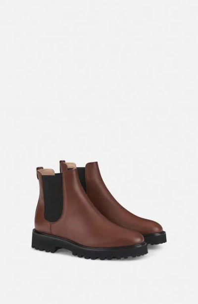 Agl Attilio Giusti Leombruni Agl Goldie Beatle In Brown