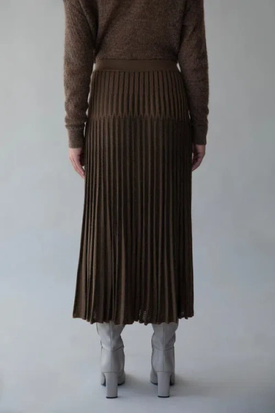 Sskein Soleil Skirt In Brown