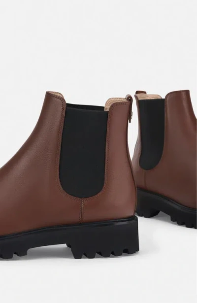 Agl Attilio Giusti Leombruni Agl Goldie Beatle In Brown