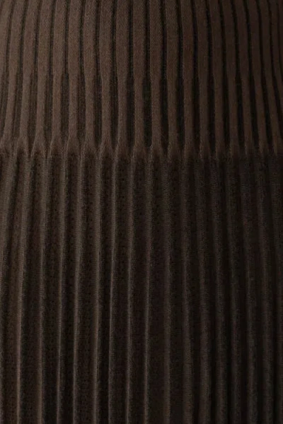 Sskein Soleil Skirt In Brown