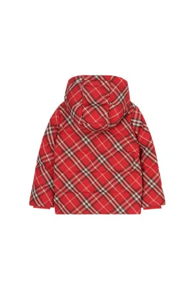 Burberry Check Hooded Puffer Coat In Red