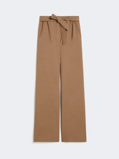 Max Mara Virgin Wool Parachute Trousers In Brown