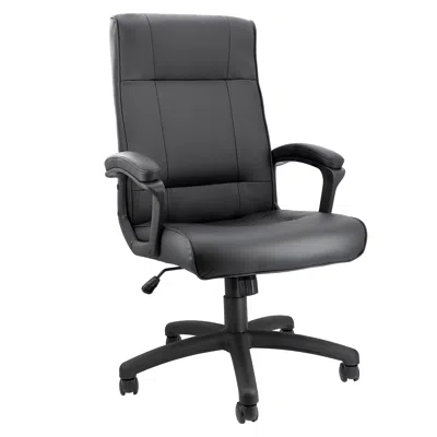 Elama High Back Adjustable Faux Leather Office Chair In Black In Black