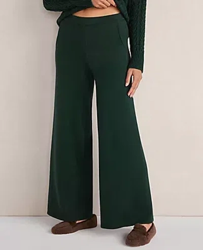 Ann Taylor Cttn Jrsy Fl Wide Leg Pant In Green