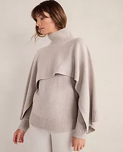 Ann Taylor Haven Well Within Wool Blend Sweater Set In Neutral