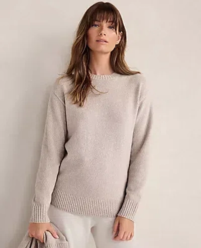 Ann Taylor Haven Well Within Wool Blend Sweater Set In Neutral