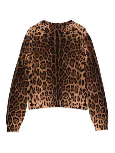 Dolce & Gabbana Sweater  Kids Color Brown In Animal Print