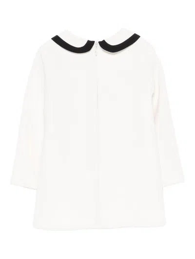 Elisabetta Franchi Dress With Peter Pan Collar In Neutral