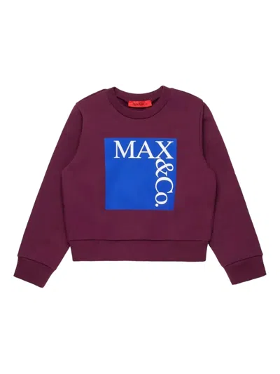 Max & Co Crew-neck Sweatshirt In Burgundy
