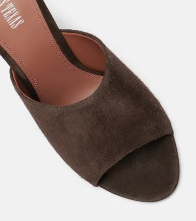 Paris Texas Nina 105 Suede Mules In Brown