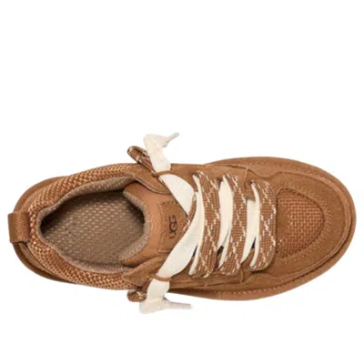 Ugg Suede And Mesh Sneakers With Trekking Laces In Brown