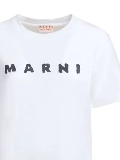 Marni T-shirts And Polos In White