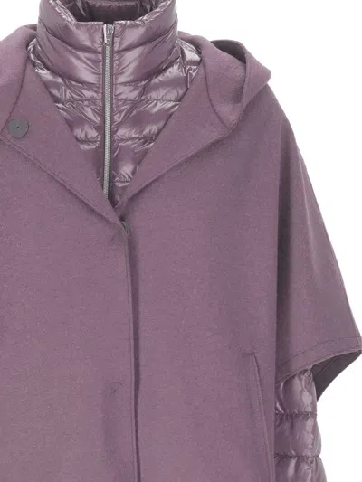 Herno Coats In Purple