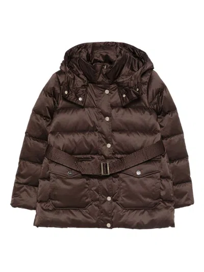 Liu •jo Liu Jo Brown Down Jacket With A Belted Waist In Brown