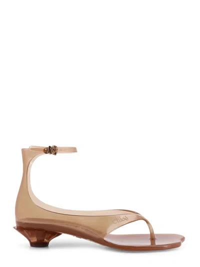 Chloé Tpu Jelly Sandals With Shell Heel In Brown
