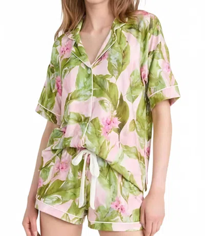 Pj Salvage Tropicana Dreams 3-piece Pajama Set In Blush In Green