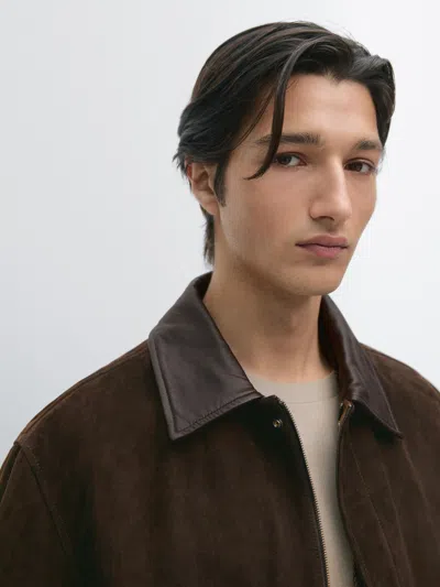 Massimo Dutti Suede Leather Jacket With Collar Detail In Brown