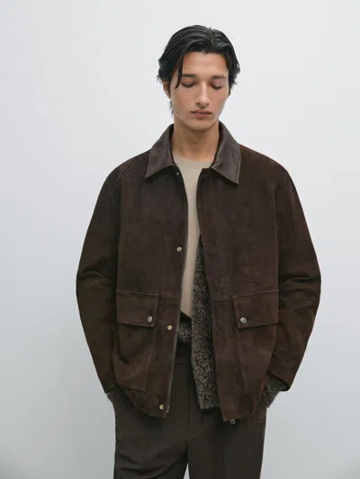 Massimo Dutti Suede Leather Jacket With Collar Detail In Brown