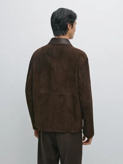 Massimo Dutti Suede Leather Jacket With Collar Detail In Brown