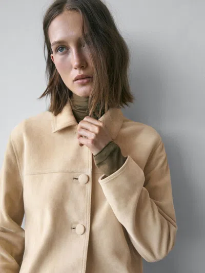 Massimo Dutti Short Suede Leather Jacket In Brown