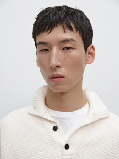 Massimo Dutti Knit Sweater With Mock Button Neck In Multi