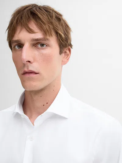 Massimo Dutti Regular In Multi