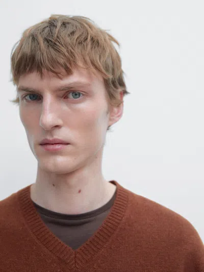 Massimo Dutti 100% Wool V In Animal Print