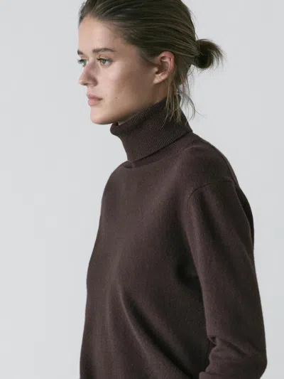 Massimo Dutti Wool Blend High Neck Sweater In Brown