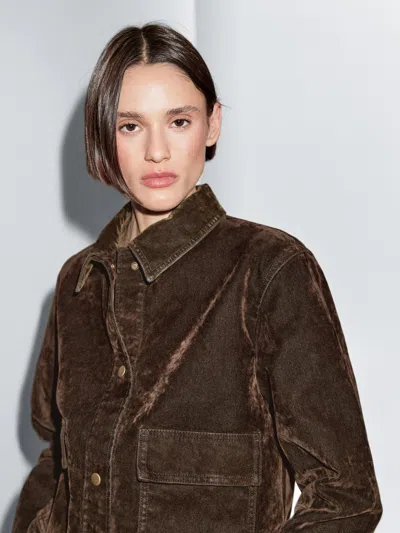 Massimo Dutti Short Denim Jacket With Pockets And Flocked Finish In Brown