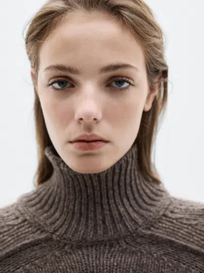 Massimo Dutti Knit High Neck Melange Sweater In Brown