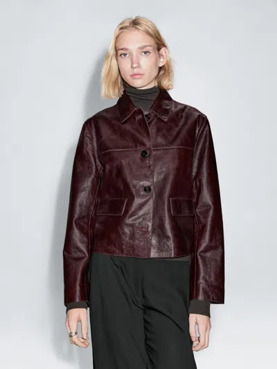 Massimo Dutti Cropped Nappa Leather Jacket In Burgundy