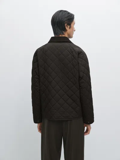 Massimo Dutti Quilted Jacket With Corduroy Collar In Brown
