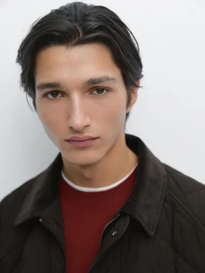 Massimo Dutti Quilted Jacket With Corduroy Collar In Brown