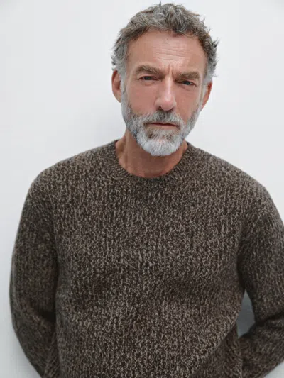 Massimo Dutti Crew Neck Sweater In 100% Wool In Animal Print