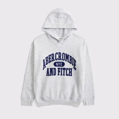 Abercrombie & Fitch Logo Popover Hoodie In Gray