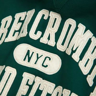 Abercrombie & Fitch Logo Popover Hoodie In Green