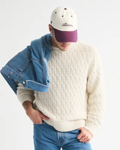 Abercrombie & Fitch Cable Crew Sweater In Animal Print