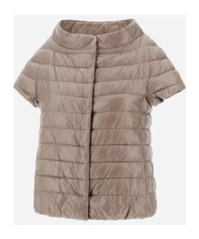 Herno Quilted Short-sleeved Down Jacket In Gold