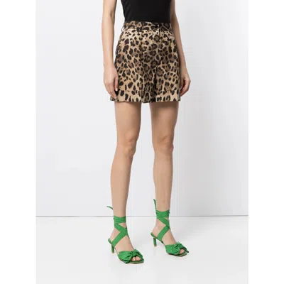 Dolce & Gabbana High Waist Leopard Stretch Drill Shorts In Animal Print