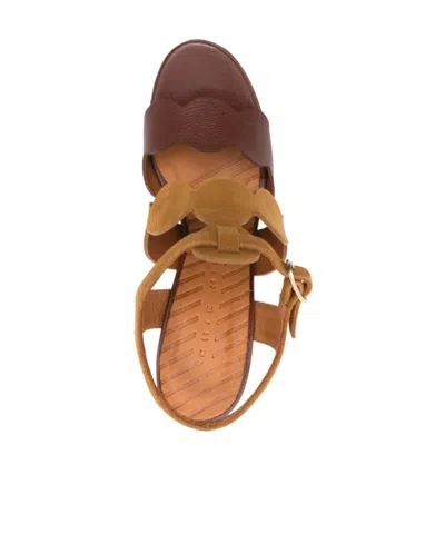 Chie Mihara Caliga Scalloped Strap Sandals In Brown