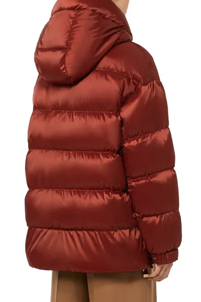 Max Mara Coats In Red