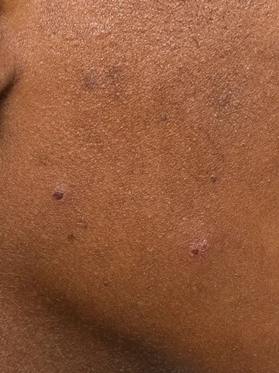 Shaun Leane Bound Hoop Single Earring In Silver