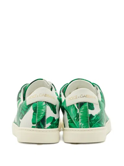 Pre-owned Dolce & Gabbana Banana Leaf-print Leather Sneakers In Green